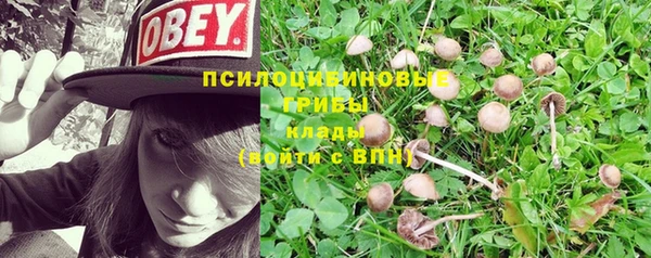 кристаллы Абаза
