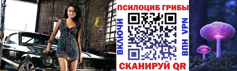 Галлюциногенные грибы мицелий  Тутаев 